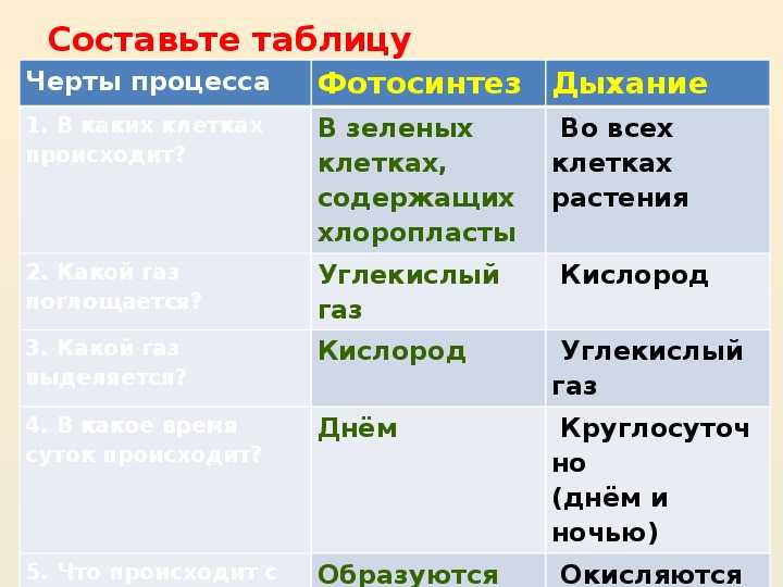 Тест по биологии фотосинтез 6 класс