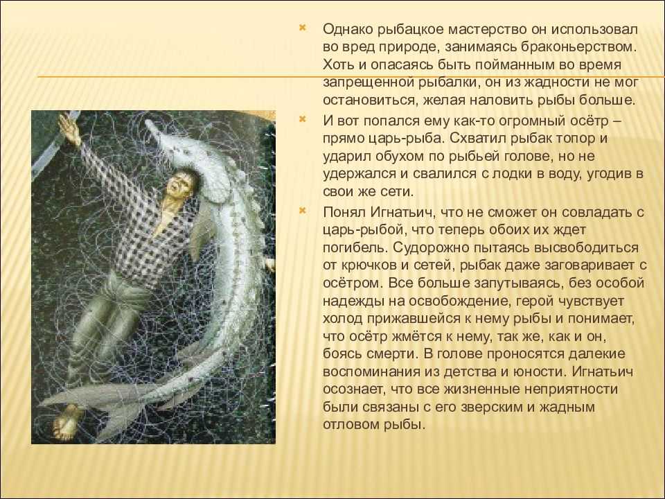 Человека и природа в рассказе царь-рыба астафьева сочинение