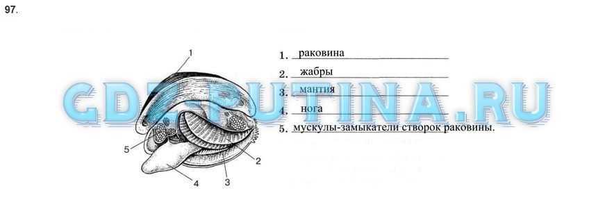 Chemistry48.ru