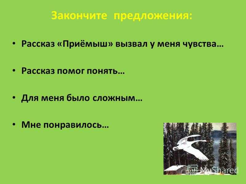 Всего 20 тестовых вопросов по теме Приёмыш с ответами Тесты для подготовки к контрольным и зачётным работам в школе по литературному чтению