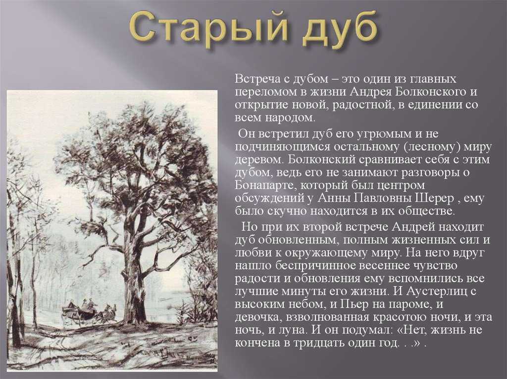 Сочинение народная война в романе война и мир толстого