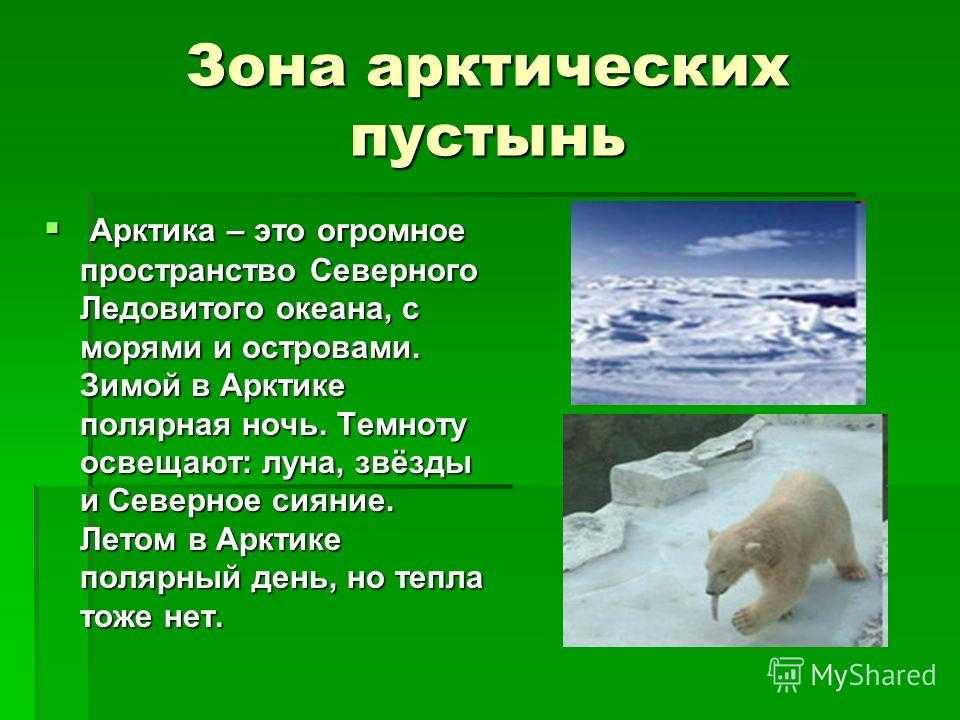 Арктическая пустыня описание природной зоны по плану