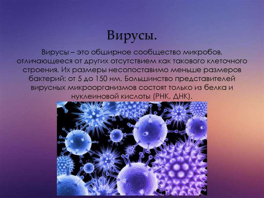 Проект на тему вирусы по биологии 10 класс