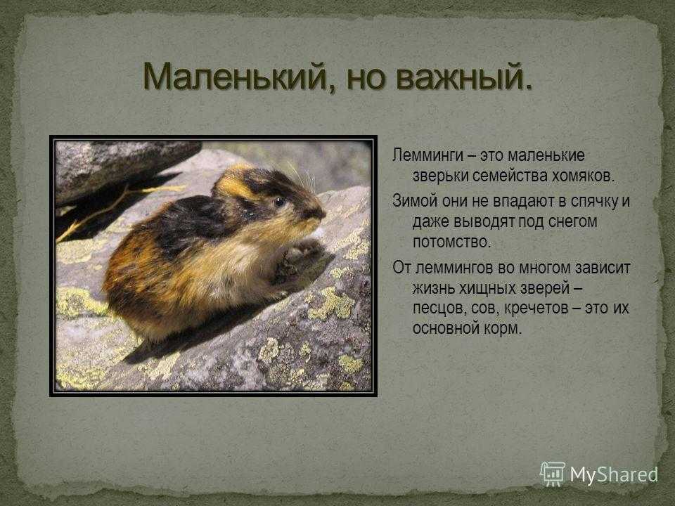 Спелеолог профессия чем занимается