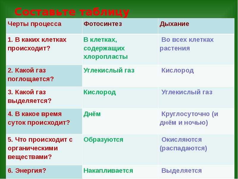 Тест по биологии дыхание 6 класс