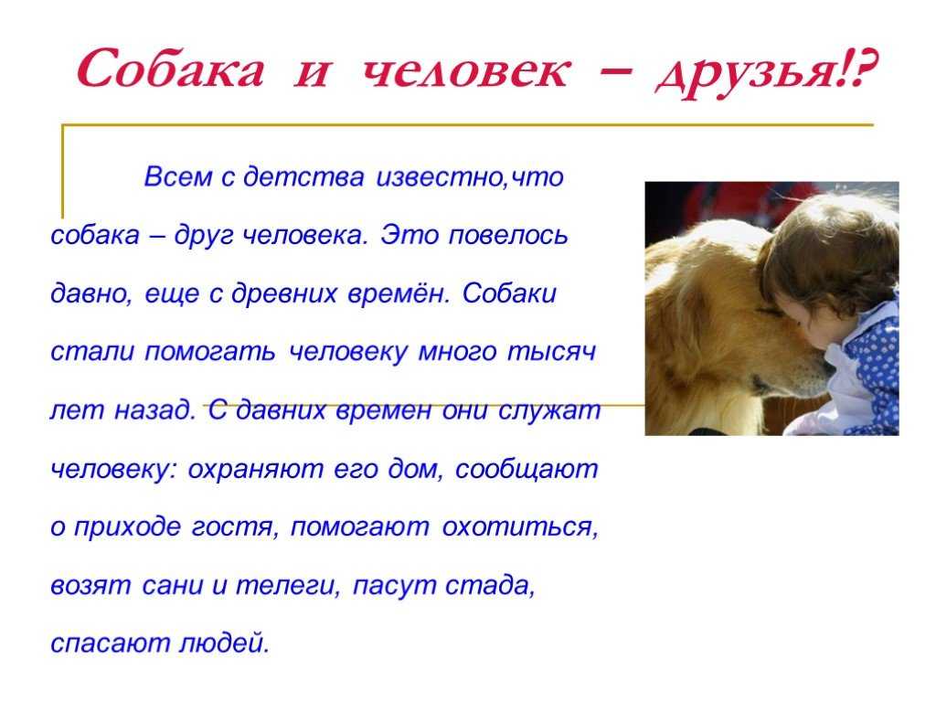 Любовь к животным - сочинение-рассуждение