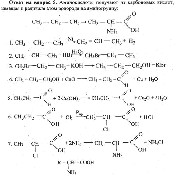 Тест амины 10. Номенклатура аминокислот 10 класс задания. Химия 10 класс Амины аминокислоты. Химические св-ва аминокислоты 10 класс химия. Химические свойства Аминов 10 класс базовый уровень.