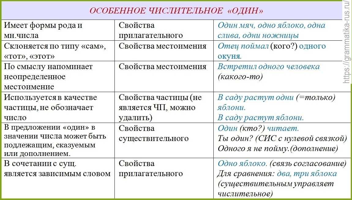 Тест по русскому языку морфология и орфография: имена числительные. местоимения 10 класс