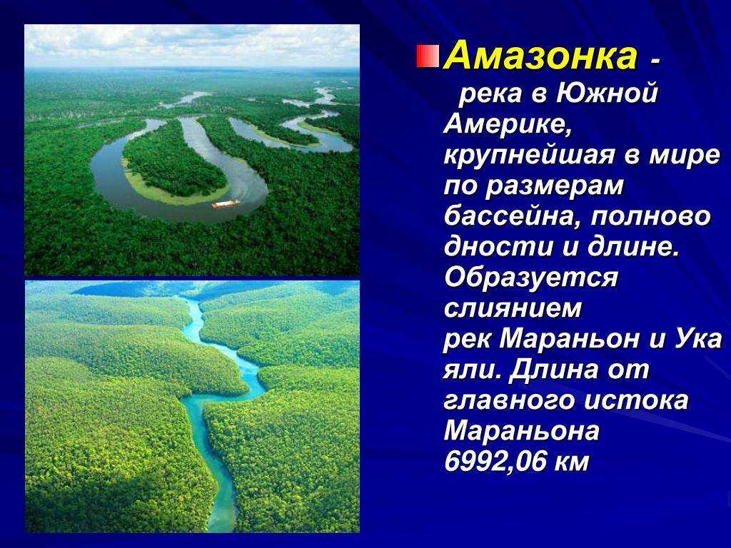 12 интересных фактов о реке амазонка | знание – свет