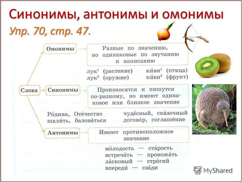 Синонимы антонимы омонимы 4