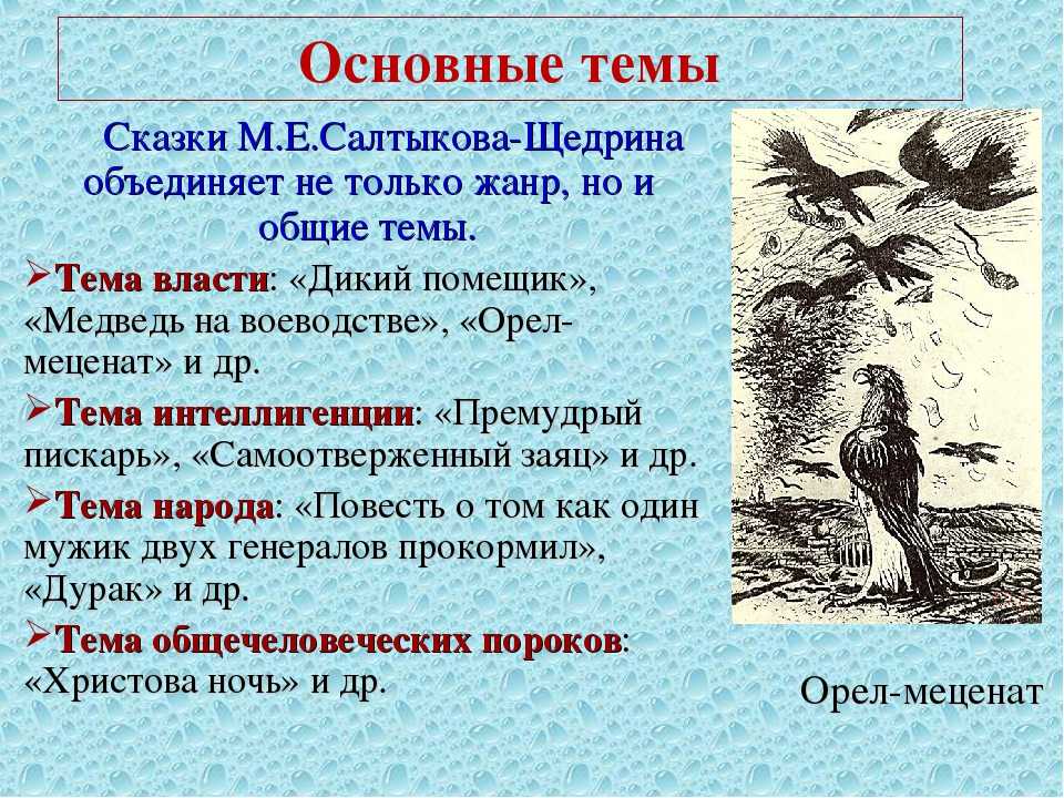 Анализ сказки соседи салтыкова-щедрина сочинение
