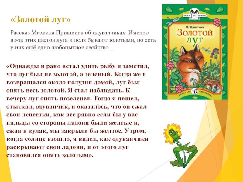 Методическая разработка по русскому языку (6 класс) на тему: анализ текста произведения м. пришвина «золотой луг»