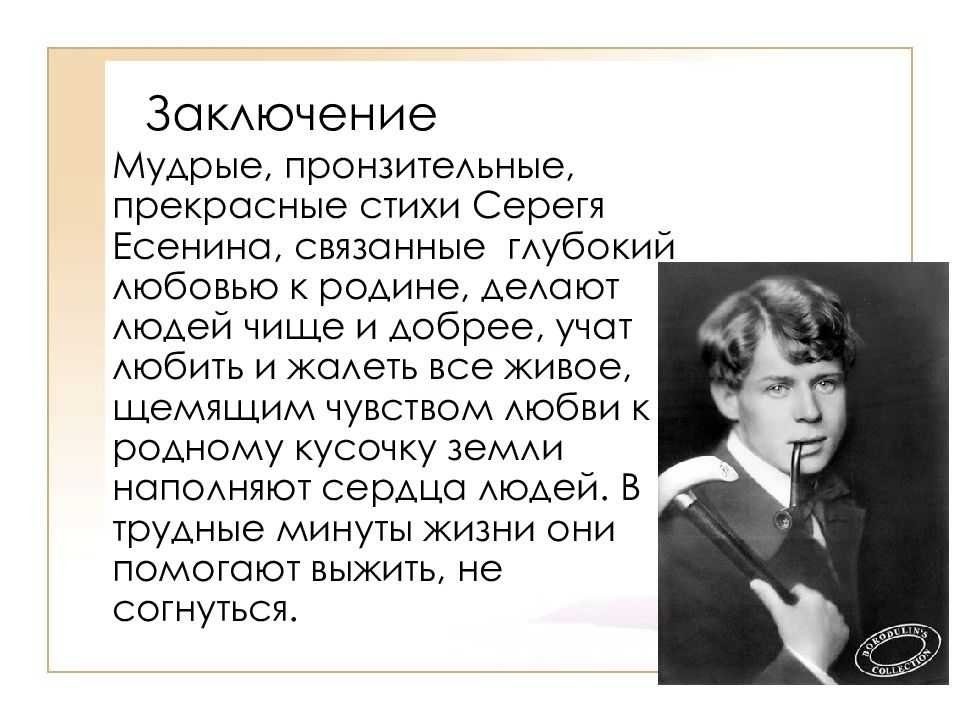Сочинение достопримечательности новосибирска: сочинение на тему «за что я люблю свой город» (новосибирск)
