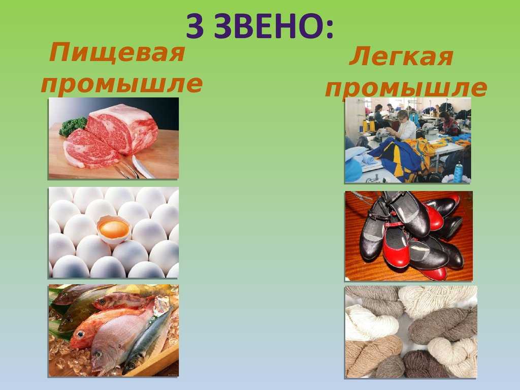 Пищевая промышленность - сообщение доклад
