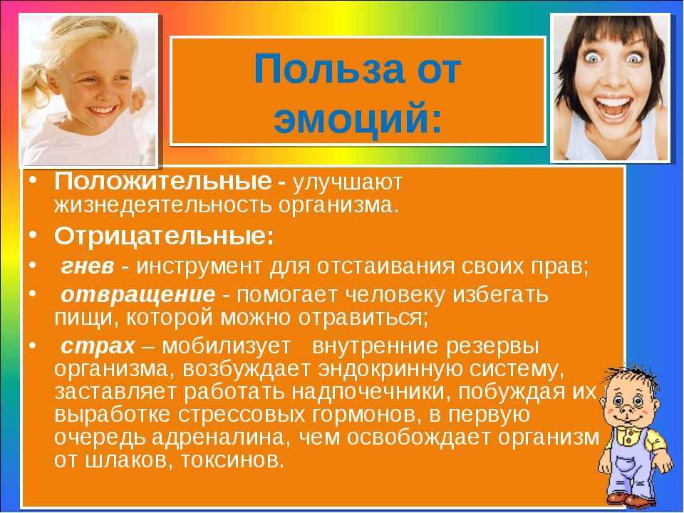 Доклад на тему животные леса 1, 2, 3, 4 класс сообщение