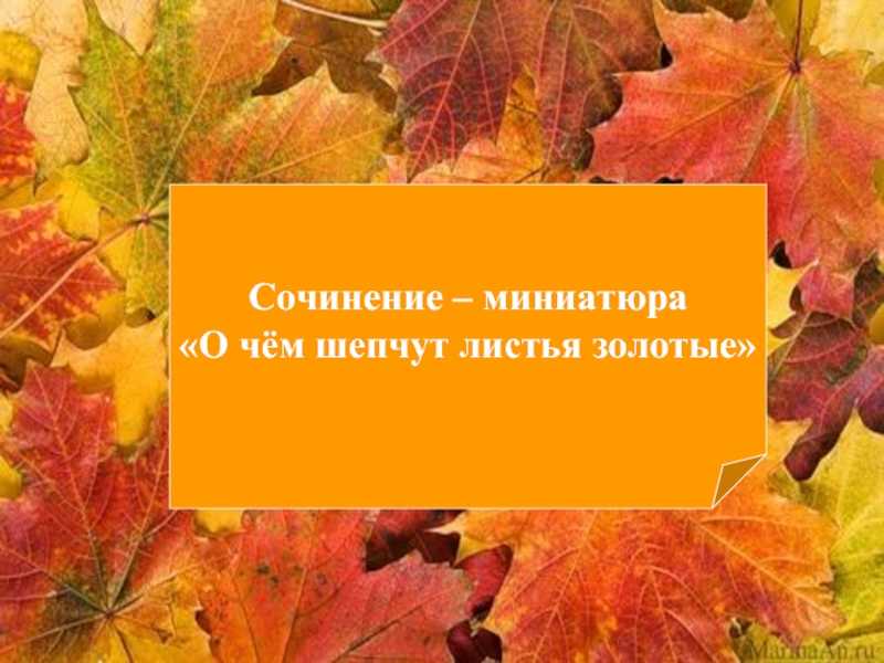 Сочинение листьев. Миниатюра осенний лист. О чём шепчут листья. Миниатюра на тему листья. Миниатюра осень.