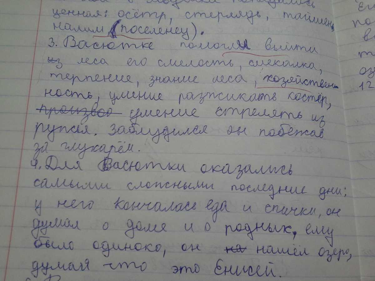 Конспект литературного чтения на тему «г.х. андерсен «гадкий утенок»