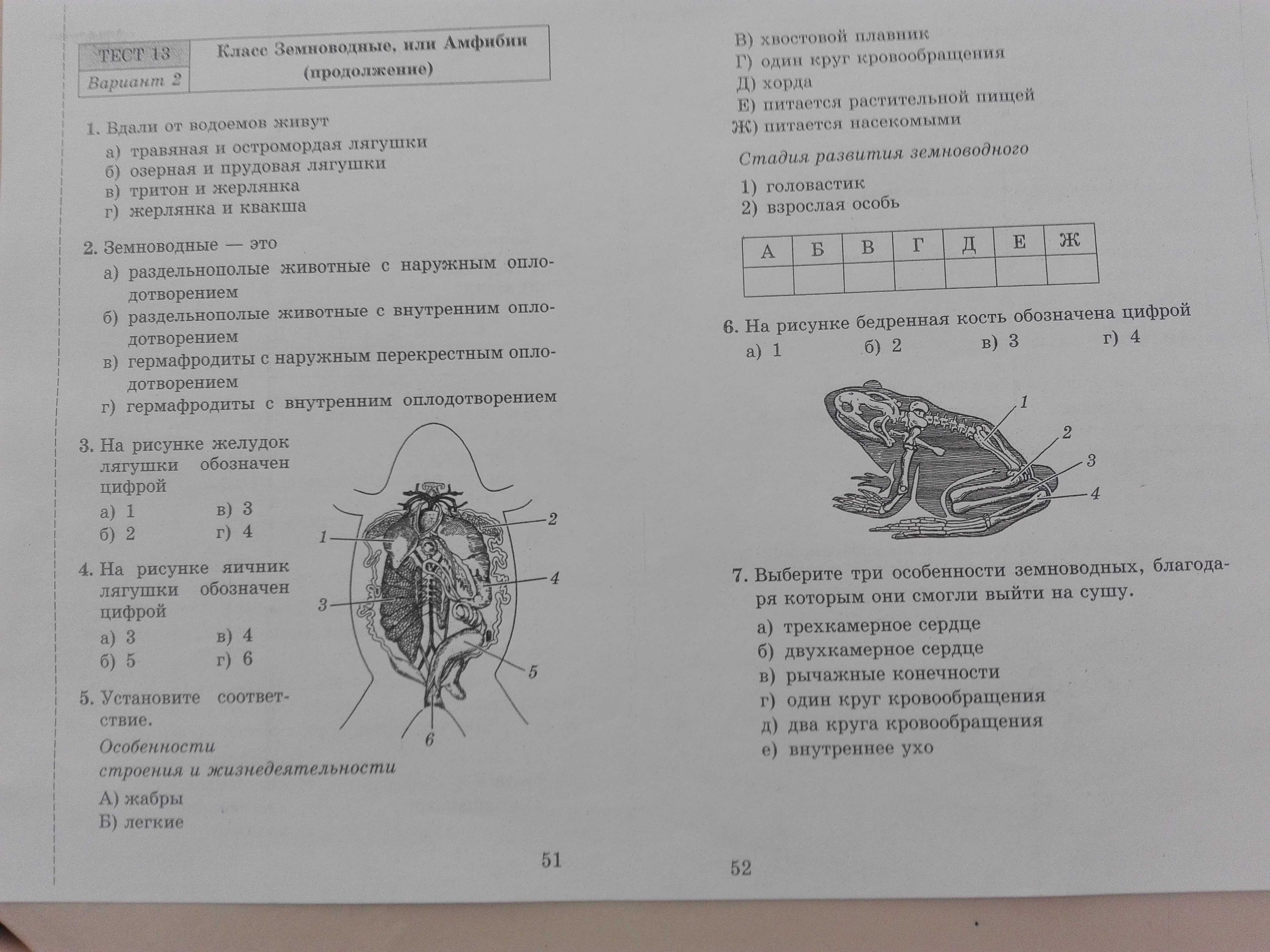 Тест по биологии (7 класс) с ответами онлайн для итоговой контрольная работа