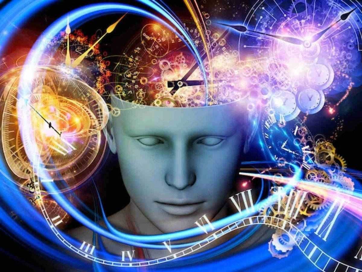 Понятие о памяти. значение памяти в жизнедеятельности человека