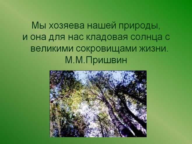 Чему научила меня сказка-быль м. м. пришвина «кладовая солнца» (кладовая солнца пришвин)