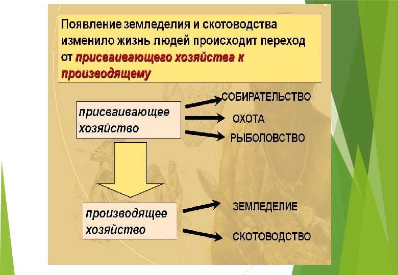 Презентация возникновение земледелия и скотоводства 5 класс