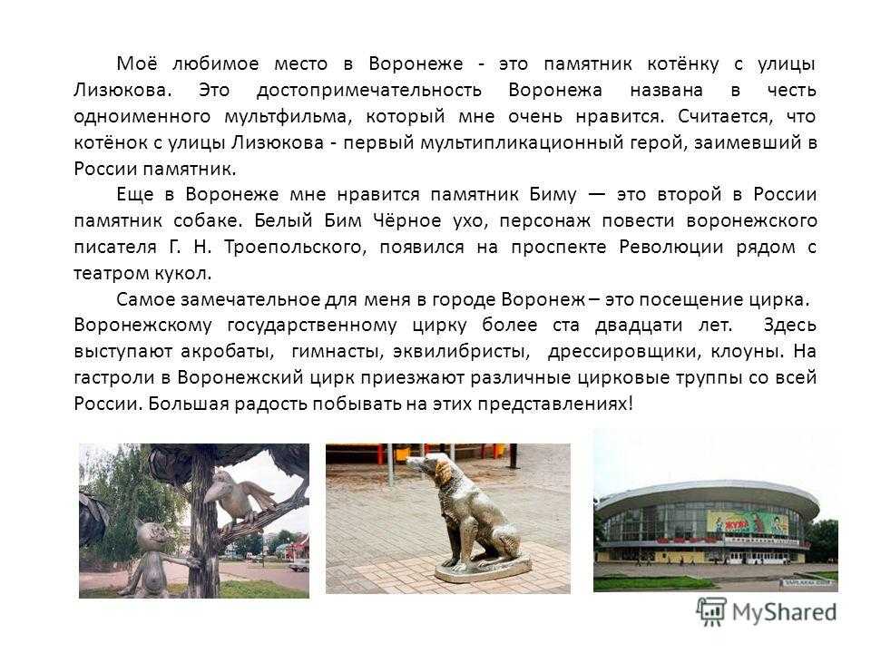 Мой город сообщение – сочинение на тему мой город
