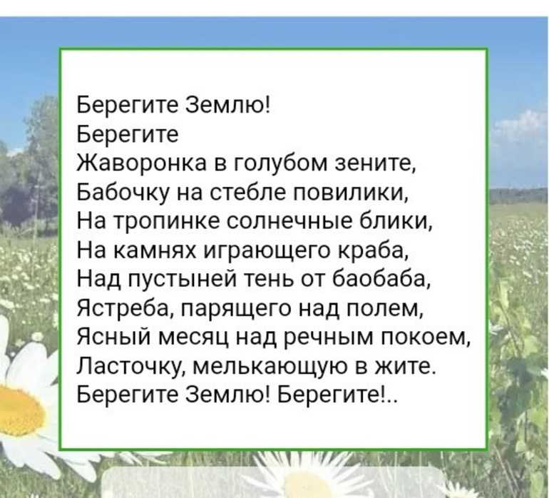 Берегу природу сочинение. Стих на тему природа. Дудин берегите землю берегите стихотворение. Стихотворение о бережном отношении к природе. Человек и природа стихи.