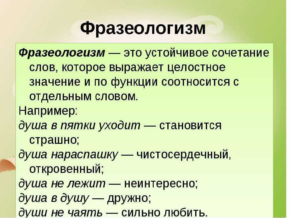 Доклад на тему собака сообщение