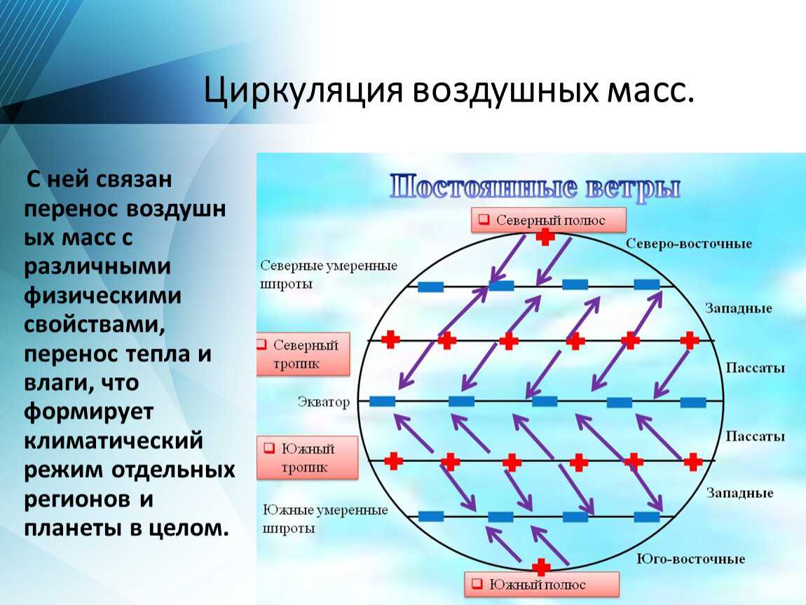 Тест по географии ветер, водяной пар в атмосфере, атмосферные осадки, облака для 6 класса