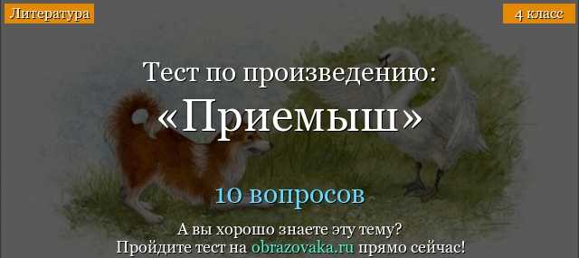 Тесты по чтению для 4 класса с ответами, онлайн подготовка