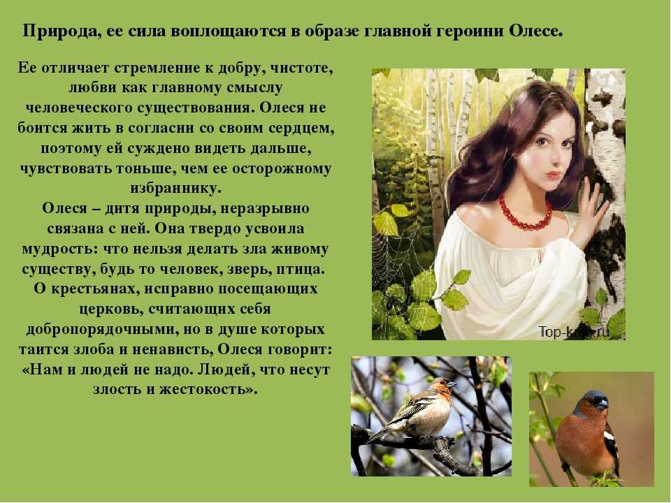 Анализ повести «олеся» (а. и. куприн)