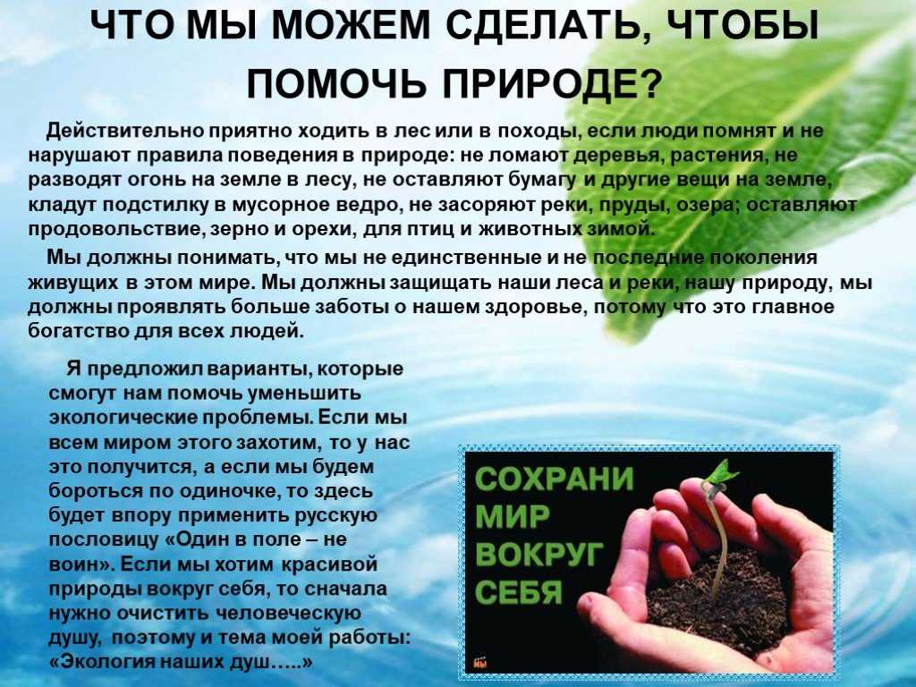 Сочинение по салтыкову щедрину 7 класс как мужик двух генералов прокормил