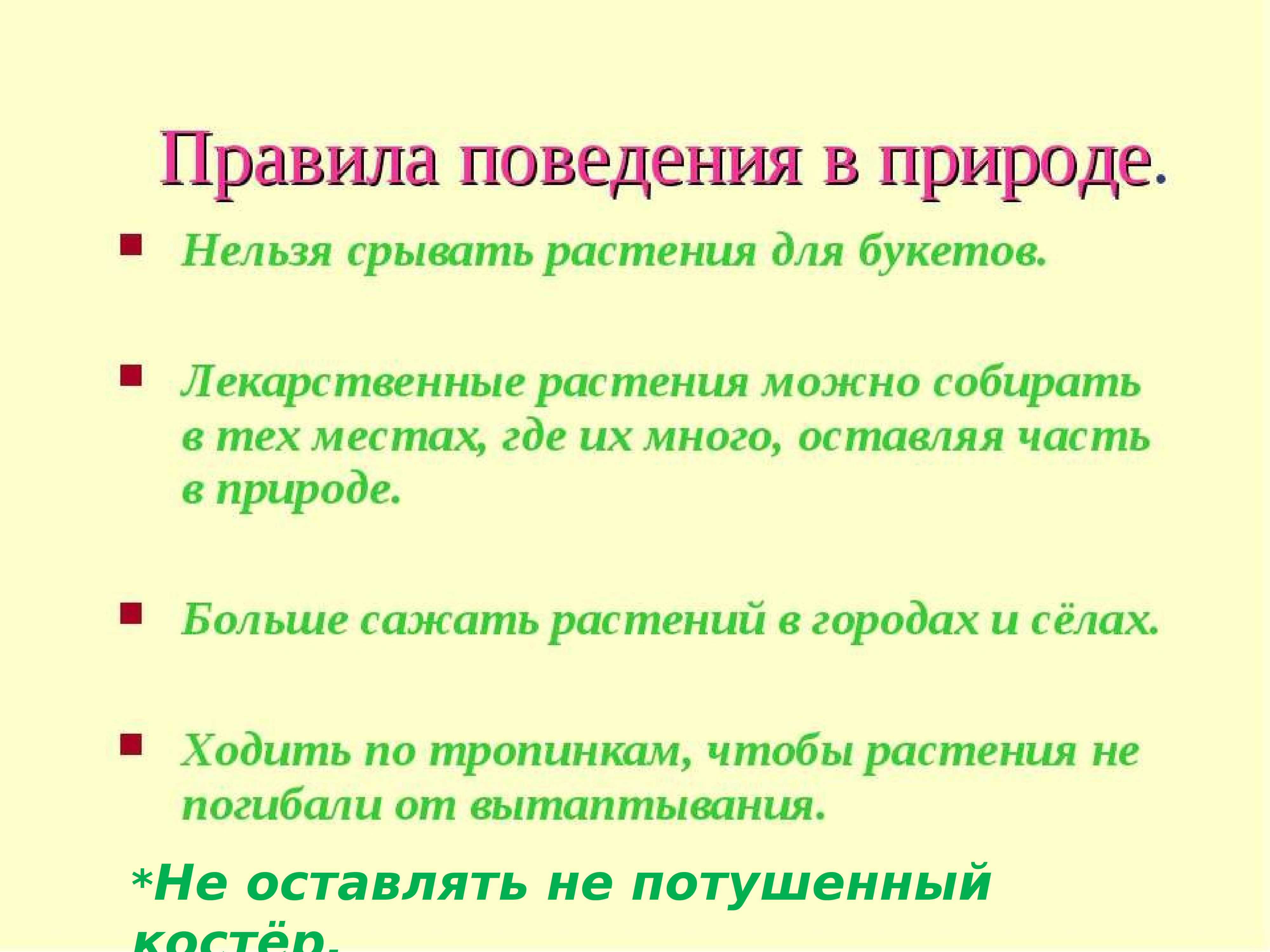 Земля без растений: почему животные и люди не могут выжить