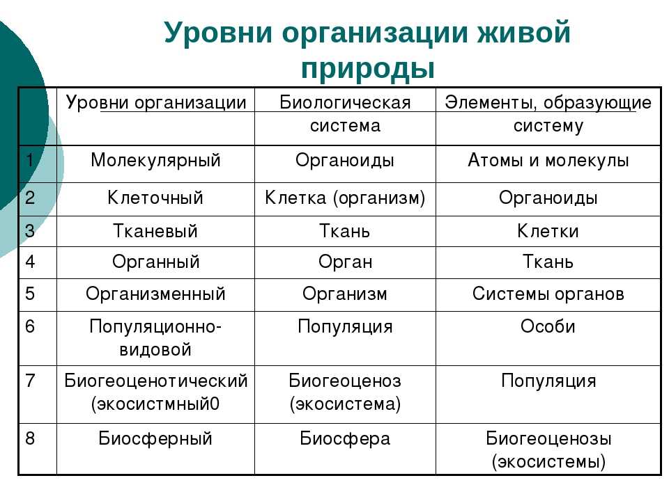 Тест по теме "антропогенез" в форме егэ, 9-11 класс | doc4web.ru