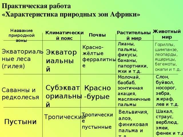 Население африки