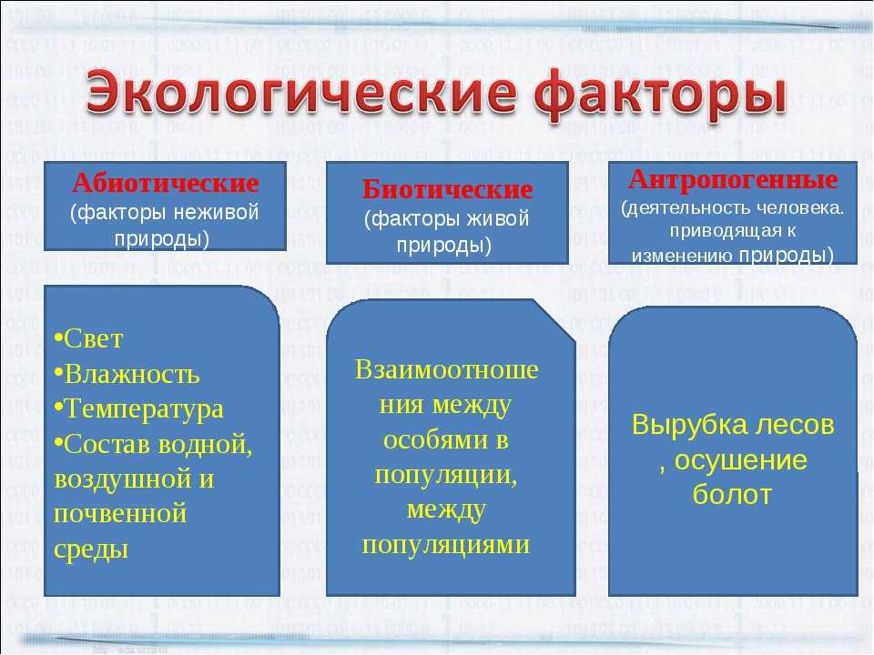 Тесты по биологии 11 класс