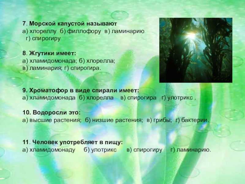 Тест по биологии низшие растения 7 класс