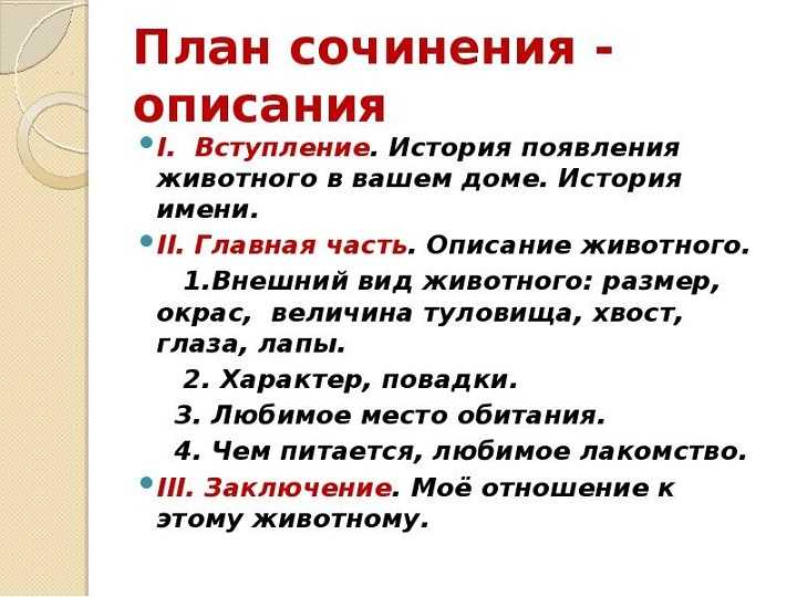 Сочинение про собаку (мое любимое животное) 5 класс