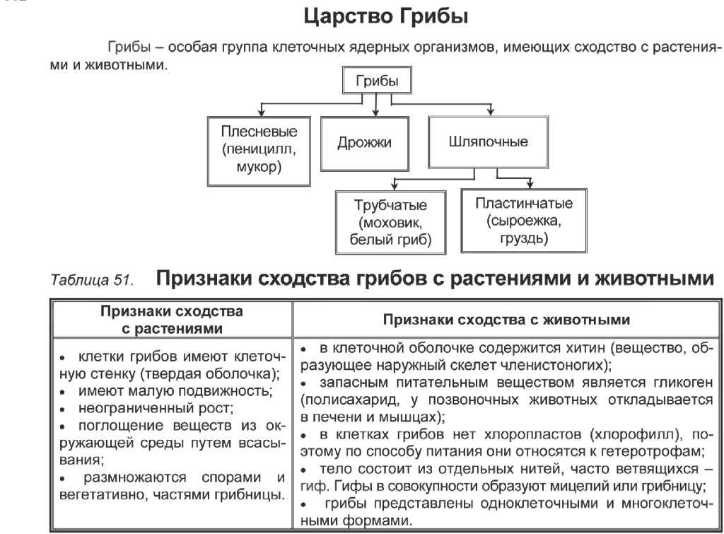 Тест по биологии отделы грибов 7 класс