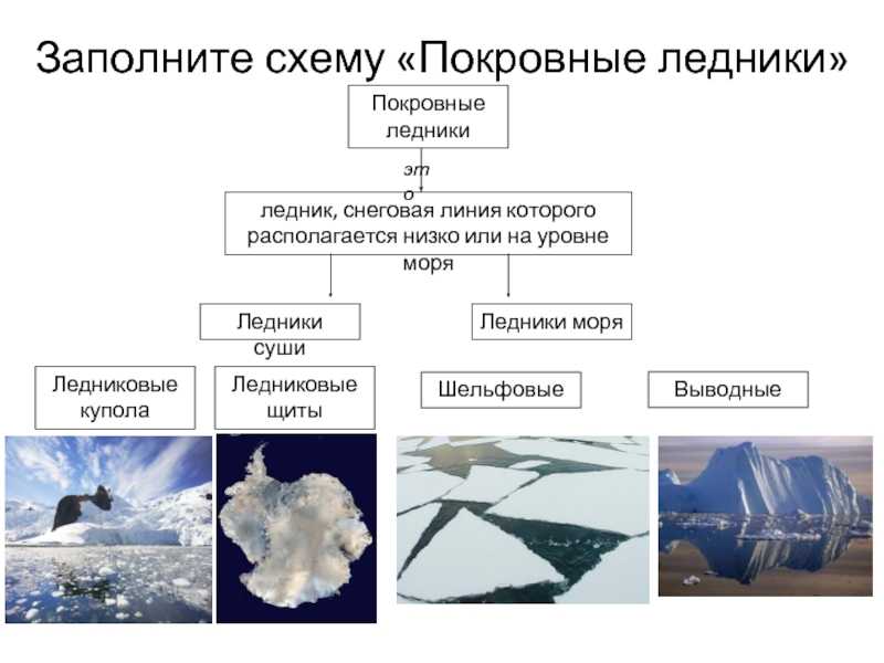 Ледники : доклад : география, экономическая география