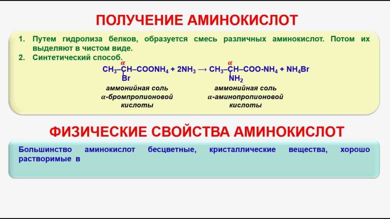 Задания для подготовки к егэ на аминокислоты.