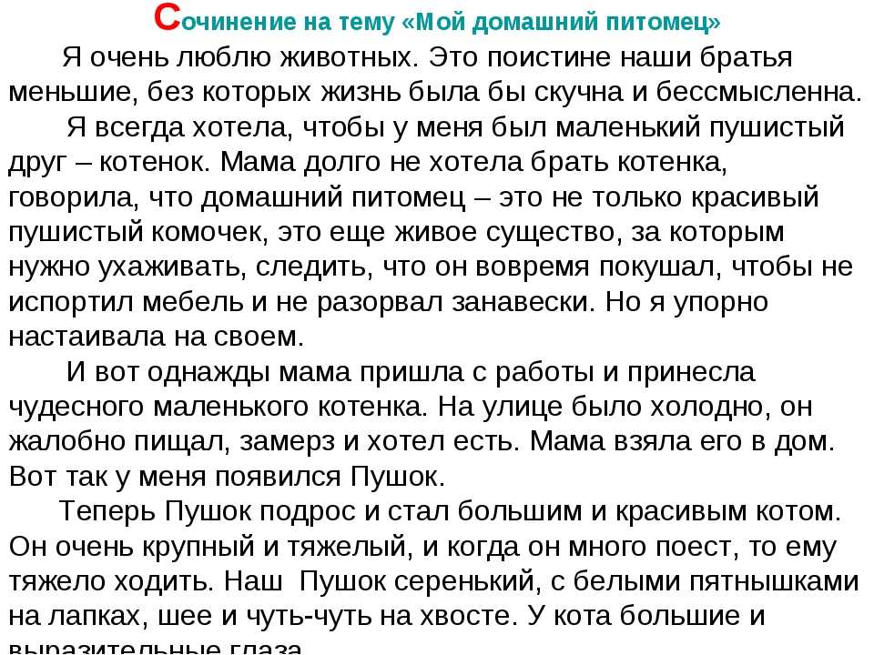 Сочинение описание животного 5 класс про кошку. Сочинение мой питомец. Мой любимый домашний питомец сочинение. Сочинение моё любимое животное. Сочинение любимый питомец.