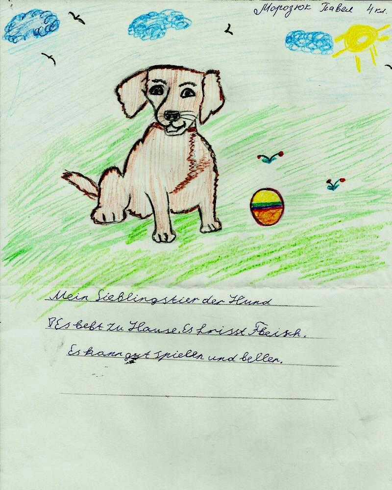Сочинение мое любимое животное - собака (2, 3, 4, 5, 6, 7, 8 класс)