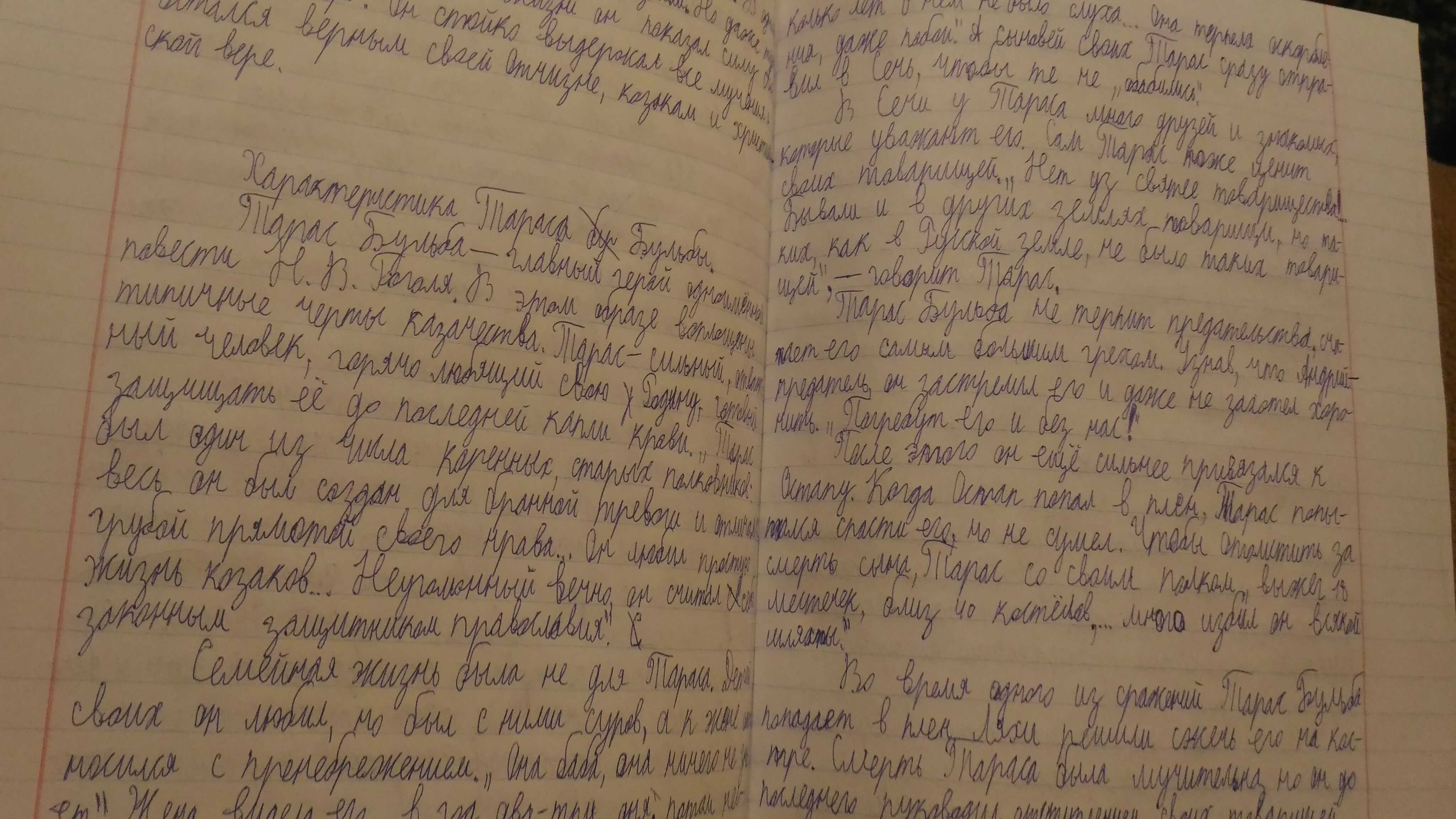 "тарас бульба" - топ-7 сочинений для 7 класса 2022 года!