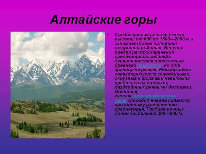 Презентация по окружающему миру алтайский край  доклад, проект