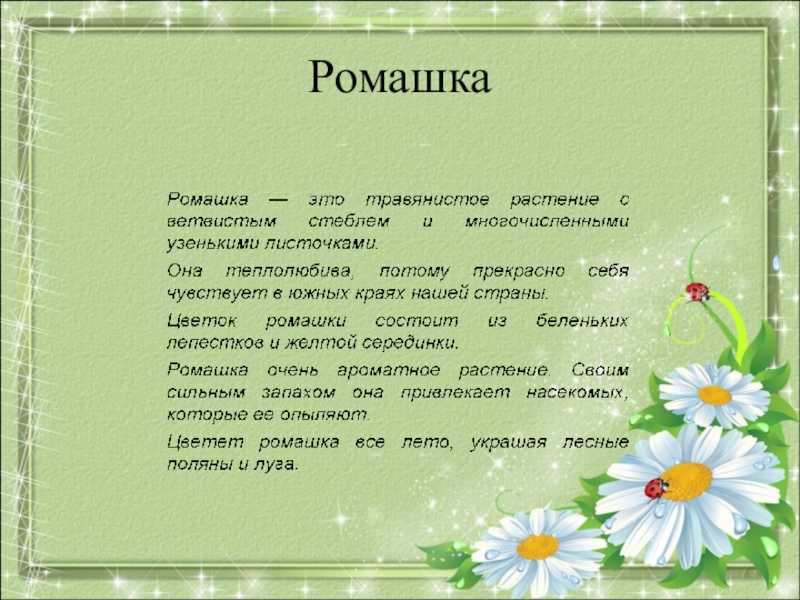 Сочинение на тему мое любимое комнатное растение