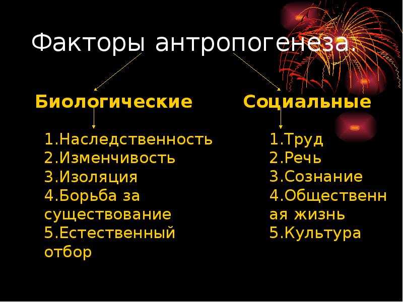 Тест по теме " эволюция человека". ответы.
