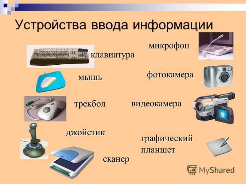 Тест по информатике обработка информации средствами текстового и графического редакторов 5 класс
