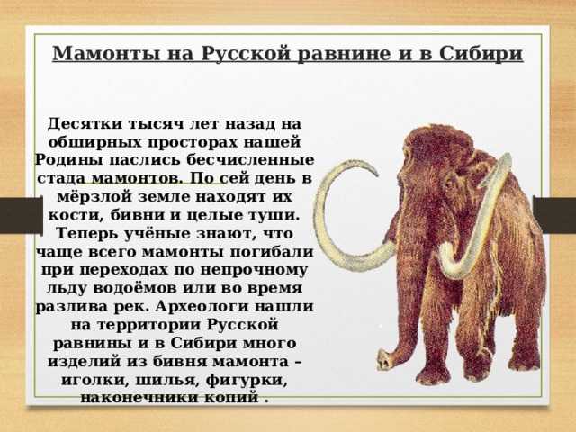 Читать онлайн книгу охотники на мамонтов - эдуард шторх бесплатно. 3-я страница текста книги.