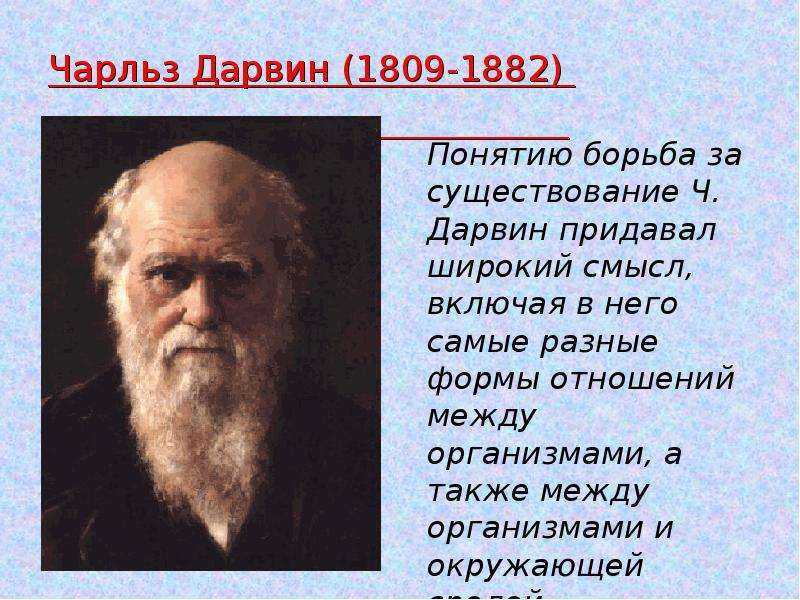 Чарльз дарвин. реферат. история. 2009-01-12